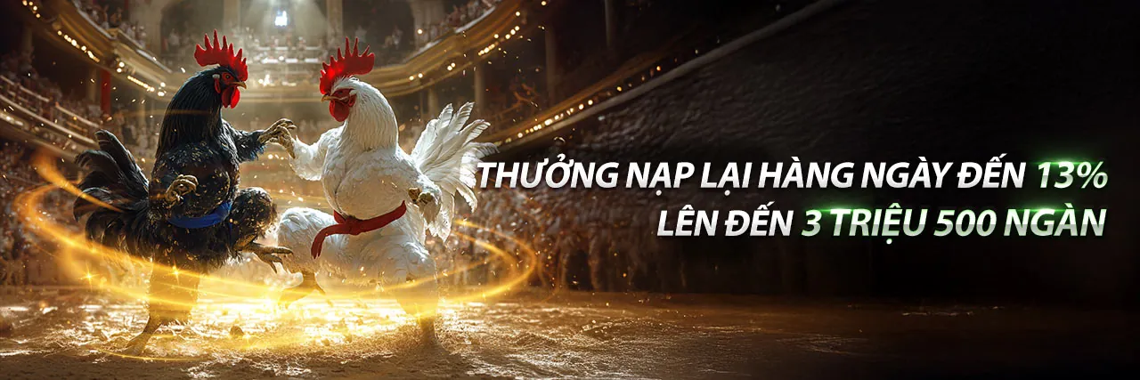 Hình ảnh chính: Cập nhật mới nhất từ 88xx chính thức